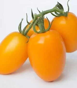 Насіння томату КС 1430 F1, п.о. 500 насінин (Kitano Seeds)