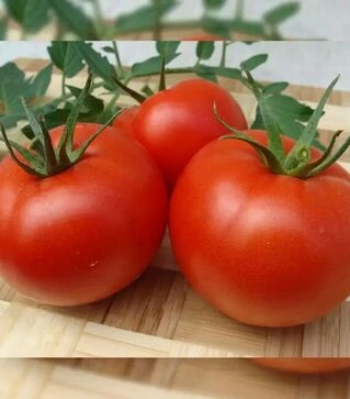 Семена томата Атерон, п.е. 500 семян (Moravoseed)
