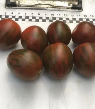 Семена томата Маритта F1, п.е. 250 семян (Spark Seeds)