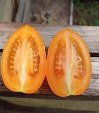 Семена томата Пальмира F1, п.е. 250 семян (Breeding Seeds)