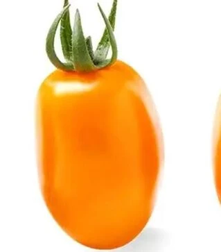 Насіння томату Фантіно F1, п.о. 50 насінин (Sakata)