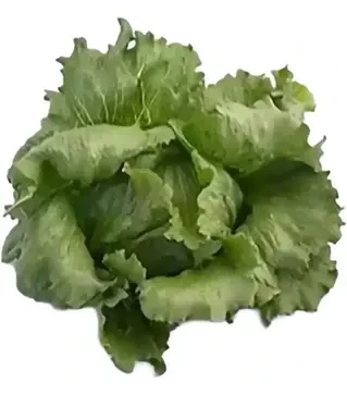 Семена салата Айс вэйв, п.е. 5 тыс. семян (Syngenta)