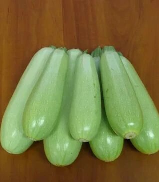 Семена кабачка Немо F1 Ларк Сидд, п.е. 2.5 тыс. семян (Lark Seeds)