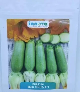 Насіння кабачка Ренді F1 (INX 5286), п.о. 500 насінин (Innova Seeds)