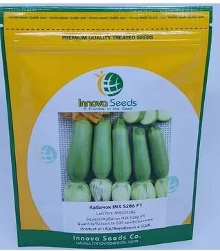 Насіння кабачка Ренді F1 (INX 5286), п.о. 500 насінин (Innova Seeds)