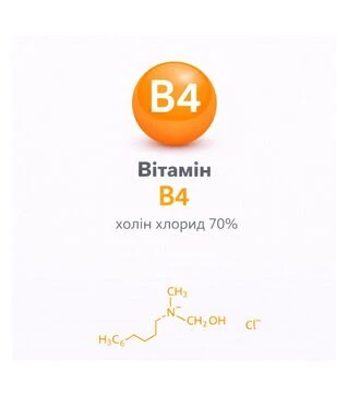 Вітамін В4 холін хлорид 70%, 25 кг