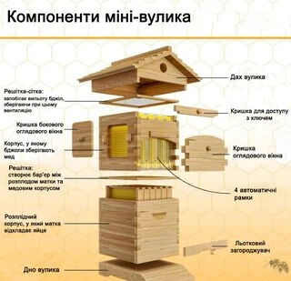Улей автоматический &laquo;Мини&raquo;, 2 корпуса, на 4 автоматические рамки, ключ для слива (ABH002)
