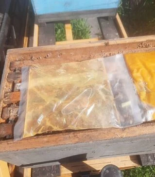 Сироп Нектар для подкормки пчел, 1 кг (SN0001)