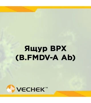 Экспресс-тесты VECHEK на антитела к вирусу ящура КРС (B.FMDV-A Ab), VIPFMA-302, 10 тестов