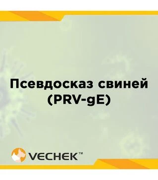 Экспресс-тесты VECHEK для выявления антител к гликопротеину gE вируса псевдобешенства свиней (PRV-gE Ab), VIPRE-302, 10 тестов