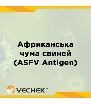Експрес-тести VECHEK для виявлення антигену ВАЧС у сироватці, плазмі або тканині (ASFV Ag), VIASFG-402, 10 тестів