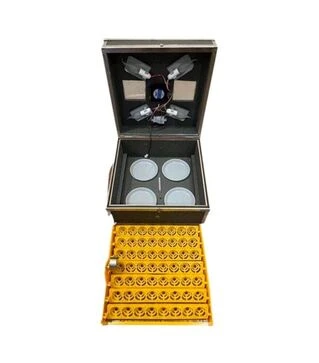Інкубатор автоматичний Квочка 56 (220 В)