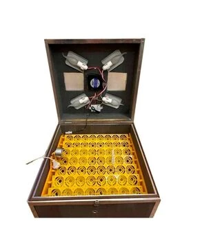 Інкубатор автоматичний Квочка 56 (220 В)