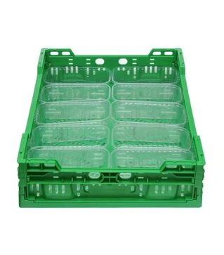 Ящик пластиковий Полімерцентр 21 л, 60х40х12 см (F6412-3100G)