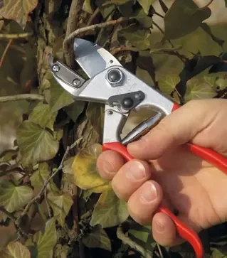 Секатор FELCO 31, 25 мм, с наковальней