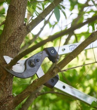 Сучкорез обводной Felco 211-60, 600 мм (Felco 211-60)