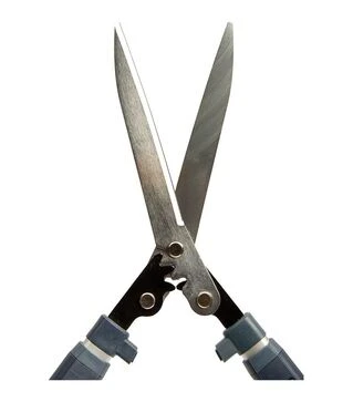 Кущоріз посилений Vitals Professional HS-720-01T з телескопічними ручками (247944)