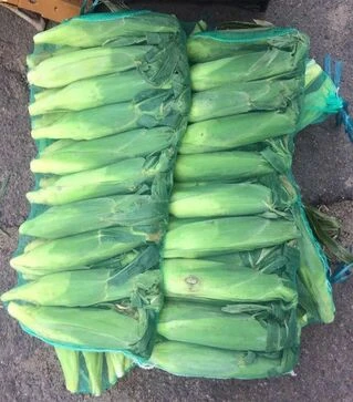 Сітка для овочів 20 кг 40х70 см, 50 шт (30632)