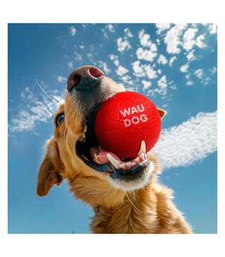 Іграшка для собак WAUDOG Fun Red Ball М'яч, 7 см