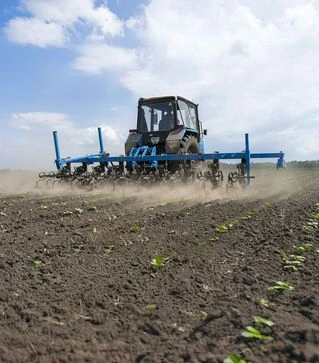 Культиватор міжрядний AGROKALINA КУМ-5,6 8-рядний, з підпружинником