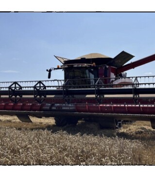 Зерноуборочный комбайн Case IH Axial Flow 8230, 2015 г.в, 2626 м/ч, б/у