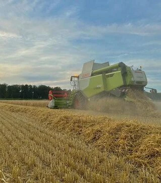 Зернозбиральний комбайн Claas Lexion 650, 2017 р.в, 1469 м/год, б/в