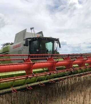 Зернозбиральний комбайн Claas Lexion 750, 2019 р.в, 2100 м/год, б/в
