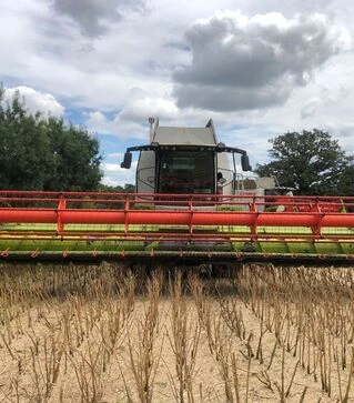 Зернозбиральний комбайн Claas Lexion 750, 2019 р.в, 2100 м/год, б/в
