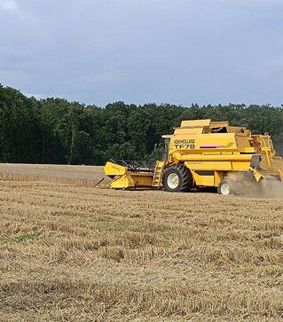 Зернозбиральний комбайн New Holland TF 78, 2002 р.в, 2747 м/год, б/в