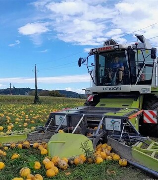 Зерноуборочный комбайн Claas Lexion 450, 2002 г.в, 1210 м/ч, б/у