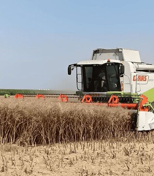 Зерноуборочный комбайн Claas Lexion 550, 2004 г.в, 4000 м/ч, б/у