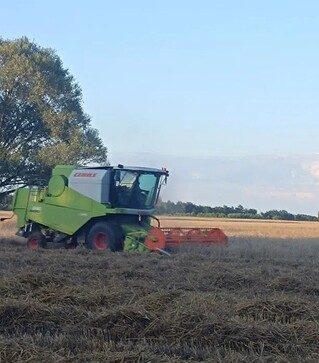 Зернозбиральний комбайн Claas Avero 240, 2017 р.в, 500 м/год, б/в