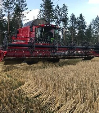 Зернозбиральний комбайн Case IH 9010, 2008 р.в, 2015 м/год, б/в