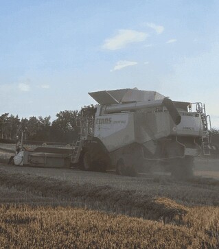 Зернозбиральний комбайн Claas Lexion 600, 2007 р.в, 3000 м/год, б/в