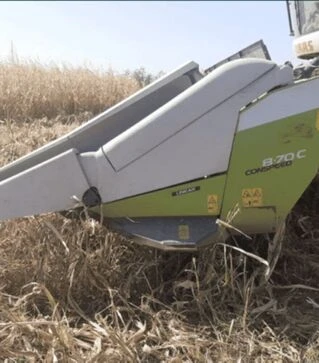 Жниварка кукурудзяна Claas Conspeed 8-70, 2015 р.в, б/в