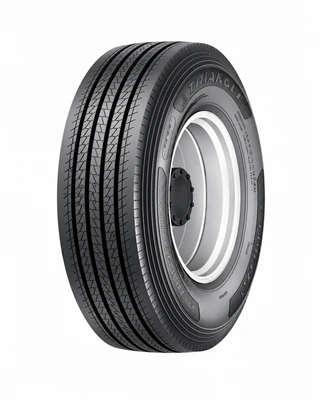 Шина Triangle TRS02 265/70R19.5 18PR 143/141J TL