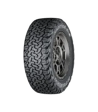 Шина Rydanz RAPTOR R19 265/65R17 117/120S TL
