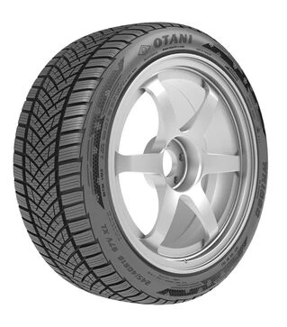 Шина OTANI WK1000 205/50 R17 93V XL (3623)
