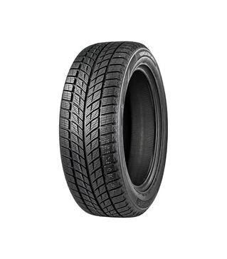 Шина Doublestar WINTERKING DW09 215/45R17 91H TL