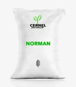 Ячмінь озимий Norman (Норман), т (Cernel Global Holding NV)