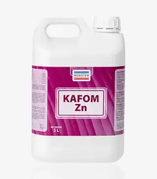 Мікродобриво Кафом Zn, 5 л (Meristem)