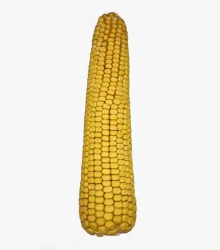 Кукурудза РАМ 8663, п.о. 80 тис. насінин (Степова)