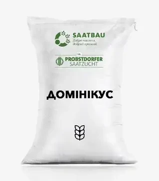 Озимая пшеница Доминикус, т (Saatbau)