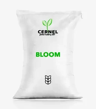 Пшениця озима Bloom (Блум), т (Cernel Global Holding NV)
