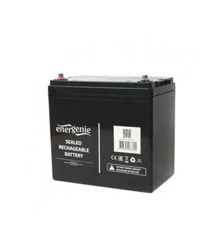 Аккумуляторная батарея EnerGenie AGM, 12 В, 55 A*ч (BAT-12V55AH)