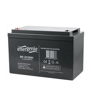 Аккумуляторная батарея EnerGenie AGM, 12 В, 100 A*ч (BAT-12V100AH)