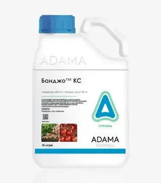 Фунгіцид Банджо, 5 л (Adama)