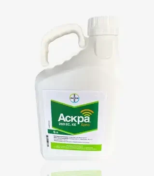 Фунгицид Аскра Xpro, 5 л (Bayer)