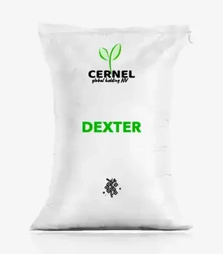 Ріпак озимий Dexter (Декстер), п.о. 1 500 тис. насінин (Cernel Global Holding NV)