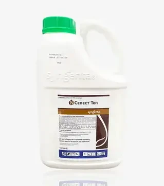 Протравитель Селест Топ 312,5 Fs, 5 л (Syngenta)